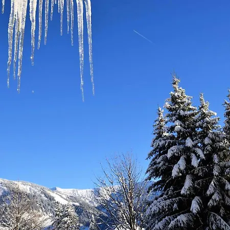 Les Alpages - Avec Vue Exceptionnelle, Proche Des Pistes Et Piscine En Ete Mae-2434 Apartment